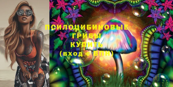 apvp Абаза