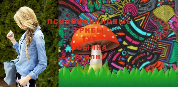 apvp Абаза