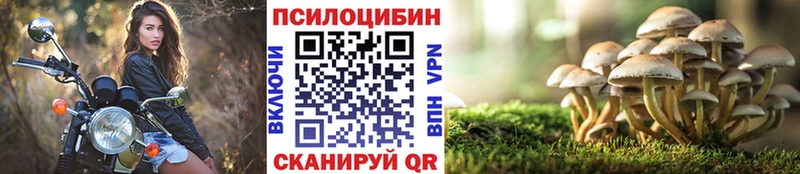 наркотики  Таганрог  kraken как войти  это телеграм  Галлюциногенные грибы Psilocybe 