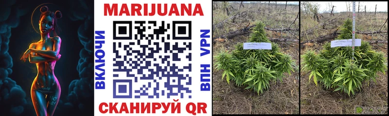 Канабис планчик Таганрог